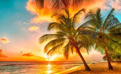 旅游綠皮書 2019~2020年中國國內旅游業(yè)務發(fā)展分析與預測