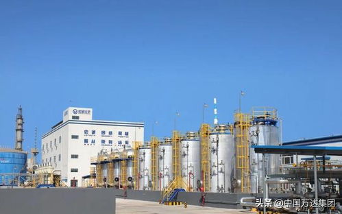 東營2021年重點項目觀摩 萬達集團四大項目引領產業升級，助推國內旅游業務發展